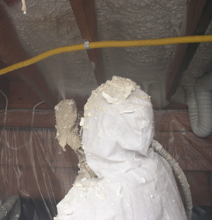 Greenbay WI crawl space insulation
